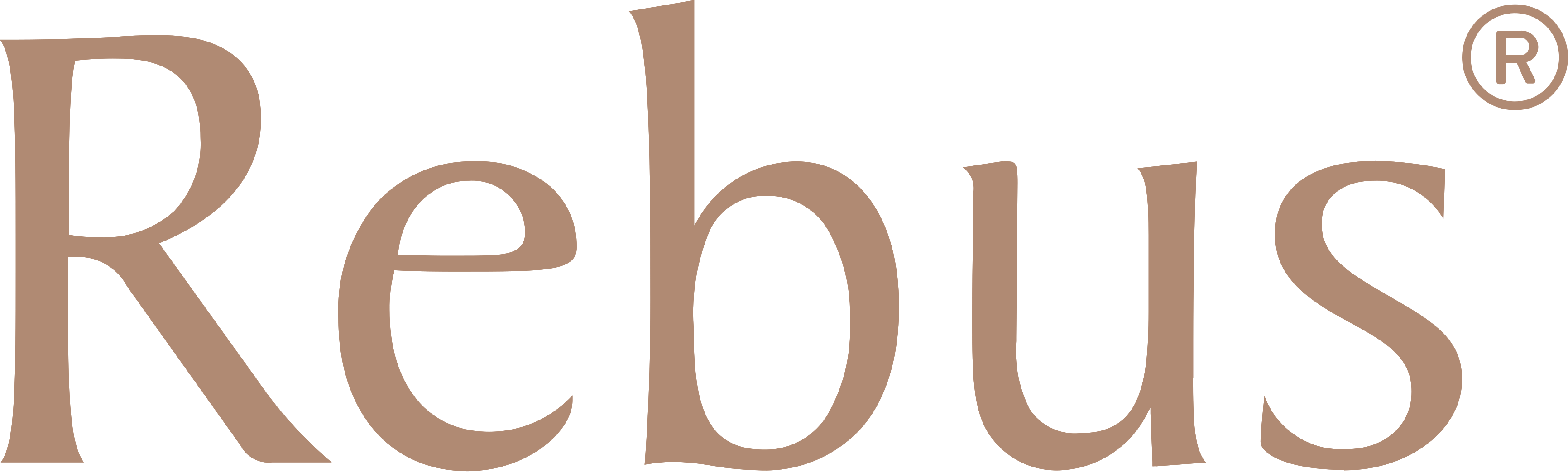 Rebus Image